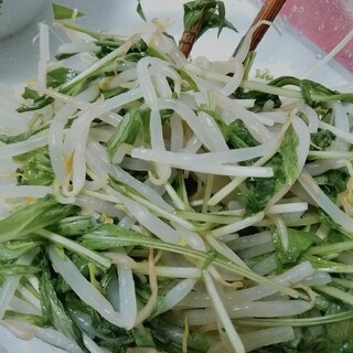 もやしと水菜枝豆の中華サラダ